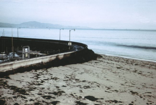 Illustration for article titled Not Again: How a 1969 Oil Spill Devastated the Santa Barbara Coast
